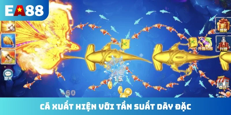 Cá xuất hiện với tần suất dày đặc