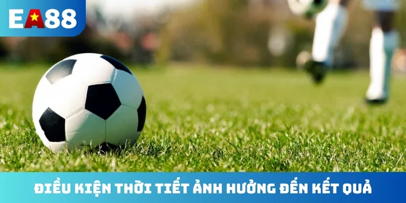 Điều kiện thời tiết ảnh hưởng đến kết quả