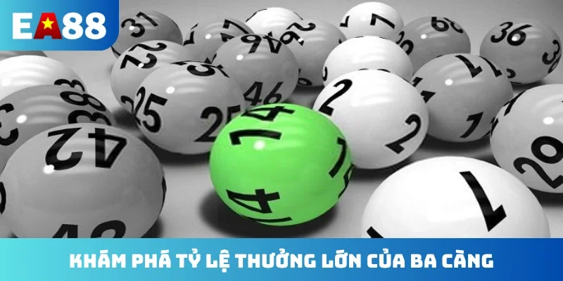 Khám phá tỷ lệ thưởng lớn của ba càng