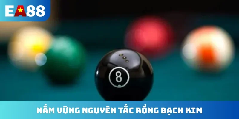 Nắm vững nguyên tắc rồng bạch kim