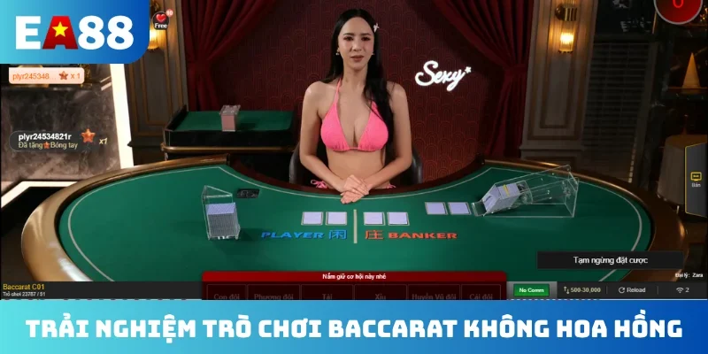 Trải nghiệm trò chơi baccarat không hoa hồng